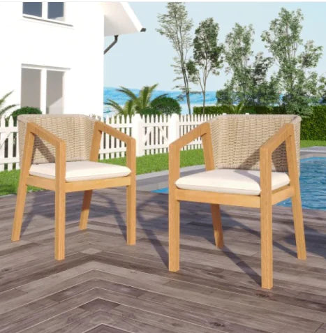 Dining Chair Set Of 2